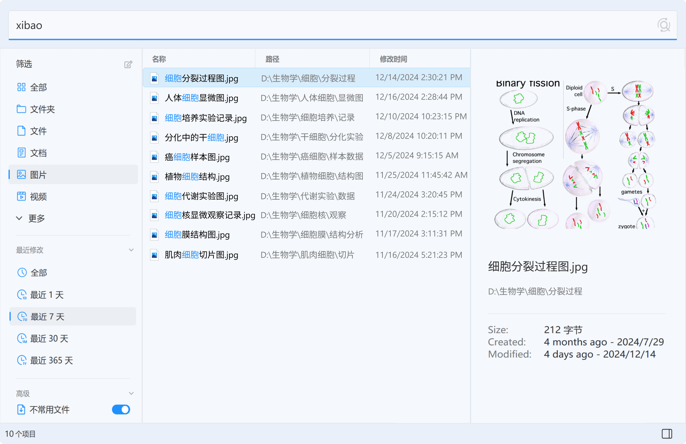Listary 文件搜索显示“bio”结果及人体解剖图预览